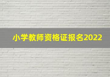 小学教师资格证报名2022