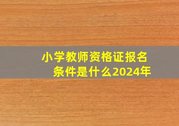 小学教师资格证报名条件是什么2024年