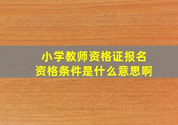 小学教师资格证报名资格条件是什么意思啊