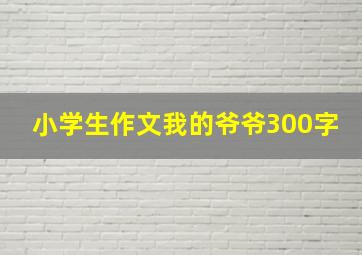 小学生作文我的爷爷300字