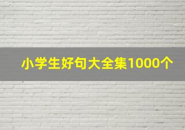 小学生好句大全集1000个