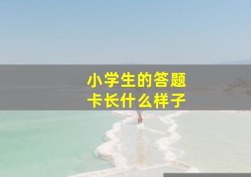 小学生的答题卡长什么样子