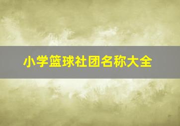 小学篮球社团名称大全