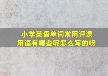 小学英语单词常用评课用语有哪些呢怎么写的呀