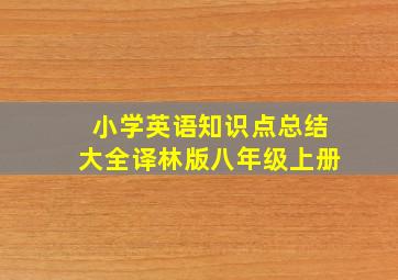 小学英语知识点总结大全译林版八年级上册