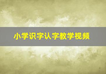 小学识字认字教学视频