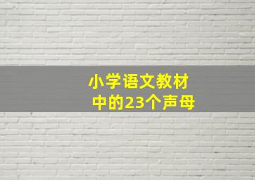 小学语文教材中的23个声母