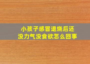 小孩子感冒退烧后还没力气没食欲怎么回事