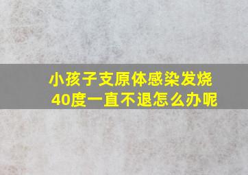 小孩子支原体感染发烧40度一直不退怎么办呢