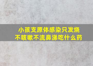 小孩支原体感染只发烧不咳嗽不流鼻涕吃什么药