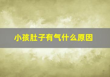 小孩肚子有气什么原因