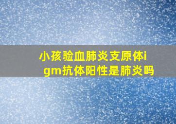 小孩验血肺炎支原体igm抗体阳性是肺炎吗