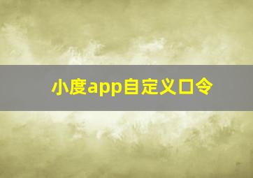 小度app自定义口令