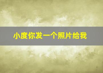 小度你发一个照片给我