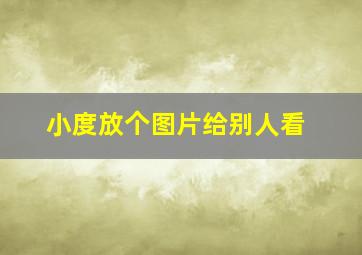 小度放个图片给别人看