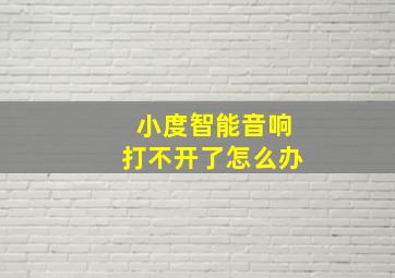 小度智能音响打不开了怎么办