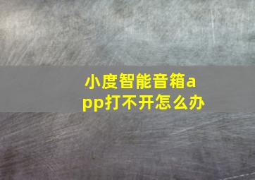 小度智能音箱app打不开怎么办