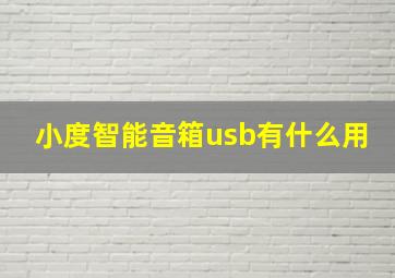 小度智能音箱usb有什么用