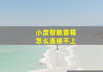 小度智能音箱怎么连接不上