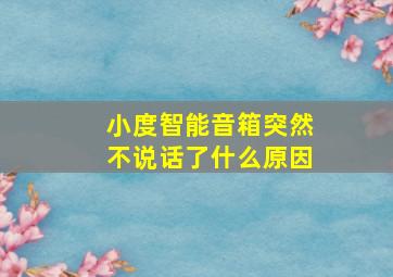 小度智能音箱突然不说话了什么原因