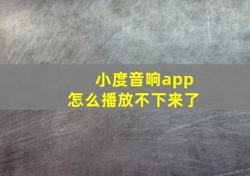 小度音响app怎么播放不下来了