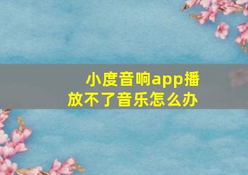 小度音响app播放不了音乐怎么办