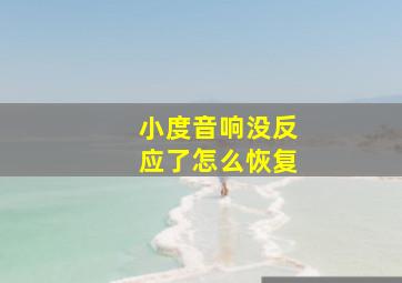 小度音响没反应了怎么恢复