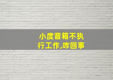 小度音箱不执行工作,咋回事