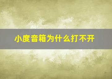 小度音箱为什么打不开