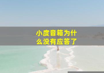 小度音箱为什么没有应答了