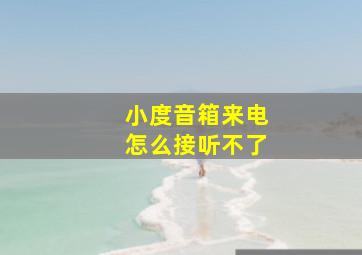 小度音箱来电怎么接听不了