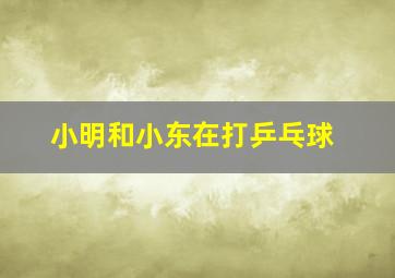 小明和小东在打乒乓球