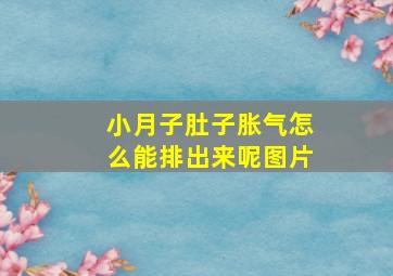 小月子肚子胀气怎么能排出来呢图片