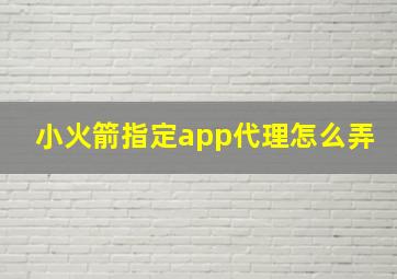 小火箭指定app代理怎么弄