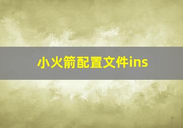 小火箭配置文件ins