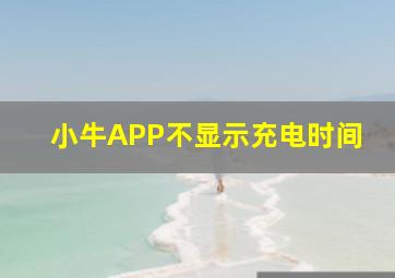 小牛APP不显示充电时间