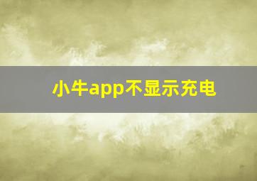 小牛app不显示充电