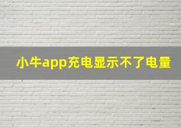 小牛app充电显示不了电量