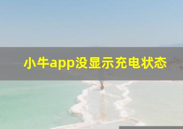 小牛app没显示充电状态