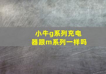 小牛g系列充电器跟m系列一样吗