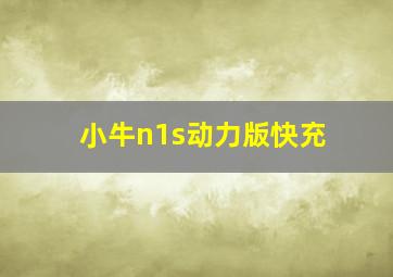 小牛n1s动力版快充