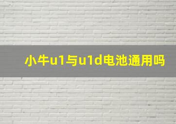 小牛u1与u1d电池通用吗