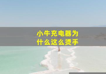 小牛充电器为什么这么烫手