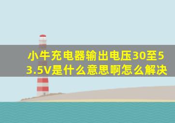 小牛充电器输出电压30至53.5V是什么意思啊怎么解决