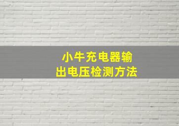 小牛充电器输出电压检测方法