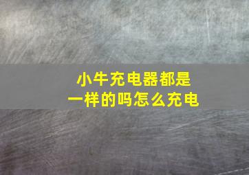 小牛充电器都是一样的吗怎么充电