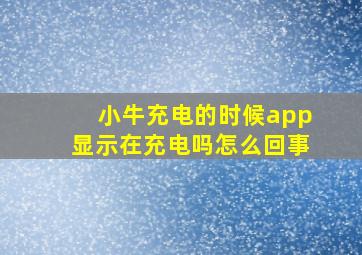 小牛充电的时候app显示在充电吗怎么回事