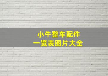 小牛整车配件一览表图片大全