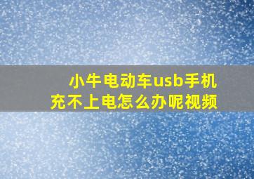 小牛电动车usb手机充不上电怎么办呢视频