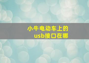 小牛电动车上的usb接口在哪